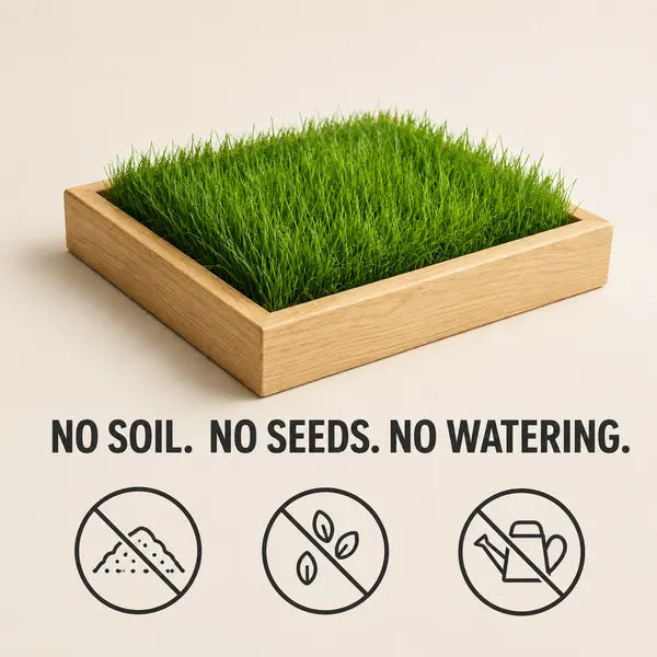 Indoor Grass Oasis Wooden Pet Bed with 20 Full-Size Washable Grass Mats