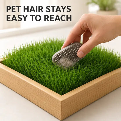 Indoor Grass Oasis Wooden Pet Bed with 20 Full-Size Washable Grass Mats